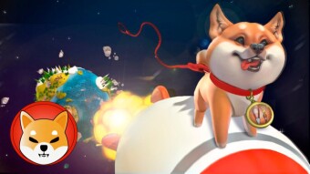 Is Shiba INU The Next Dogecoin?
