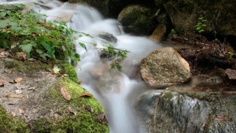 Trip to Gerês - Parque das Termas "Spa Park" | Portugal