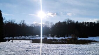 Very frosty night and day - winter is not letting up - My Actifit Report Card: January 10, 2026