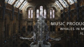Music production - Whales In Motion | Aleister