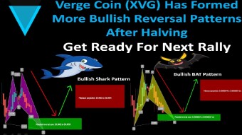 Verge Coin (XVG) Has Formed More Bullish Reversal Patterns After Halving | Get Ready For Next Rally