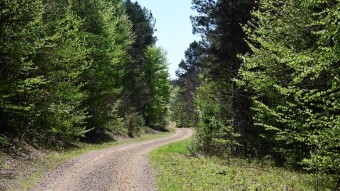 First spring walk in the Jura - My Actifit Report Card: May 10, 2026