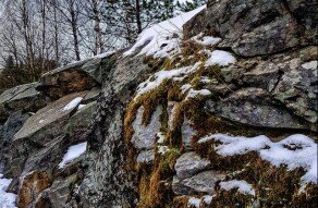 Cold and The Monkey Mind