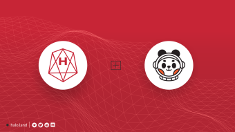 HALO Network Partners With Mars Panda: What This Collaboration Means For DeFi