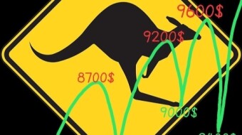 IT IS KANGAROO JUMPING - NEITHER BULL RUN NOR BEAR ERA