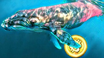 The whales had a bad effect on bitcoin