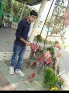 My flowers garden very beautiful