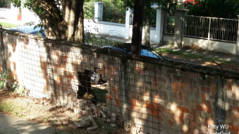 The hole
