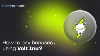 How to Pay Out Bonuses in Volt Inu?