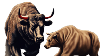 Crypto Today 113 : Bulls and Bears