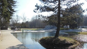 A very warm day after a cold night - My Actifit Report Card: March 2 2023