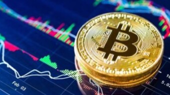 down in cryptocurrencies, news and more
