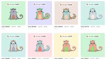 What are Non Fungible Tokens(NFTs)?