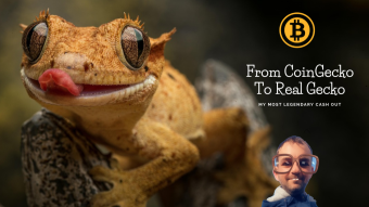 From CoinGecko to Real Gecko: My Most Legendary Crypto Cash-Out Yet
