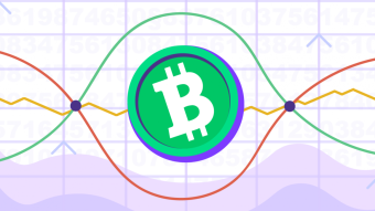 Bitcoin Cash Price Prediction 2020