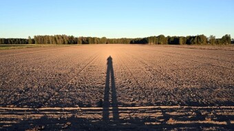 Friday will continue to be cloudless with Arctic winds - My Actifit Report Card: September 26, 2025