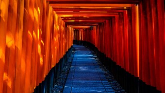 So you are thinking about living and working in Japan!