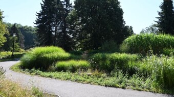 A hot Saturday, but not scorching. A successful walk - My Actifit Report Card: September 5, 2025