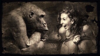 Simple Logic on the Reason why Feelings Appear