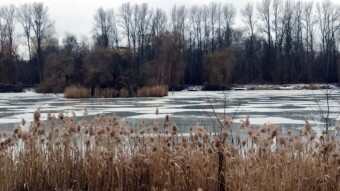 Spring is coming in at full speed - My Actifit Report Card: February 22, 2026