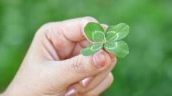 PURE LUCK