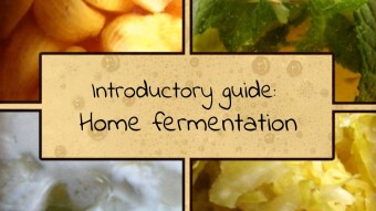 A Beginner's Guide for Home fermentation
