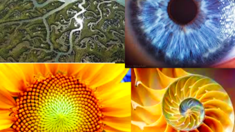 ¿What are the fractals? And how they help us understand the movements in the cryptocurrency market.
