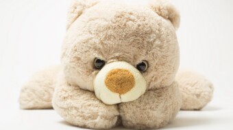 What To Do In Bear Market