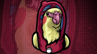 BirdBro is a hyper-deflationary token with rewards for its holders, the new 1000X MEME TOKEN