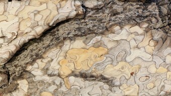 Nature is the best fractal artist