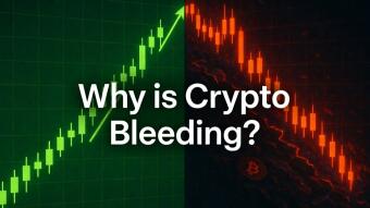 The Stock Market Just Hit Record Highs. Why Is Crypto Bleeding Out?
