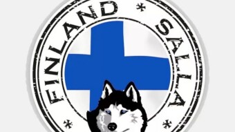 1 COUNTRY TO TRAVEL TO AND TOUR IN WINTER AND EARLY SPRING. Why Finland should be your next stop.
