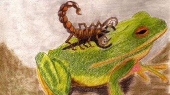 Circle and a Tale of Scorpions