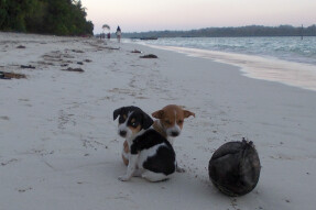 From my journeys in Asia - India, Andamans, Havelock island
