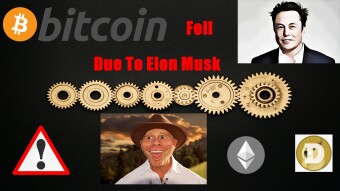 BTC Fell Entirely Because Tesla CEO (Elon Musk)❓