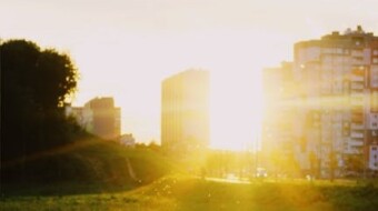 Where the sparrows will settle