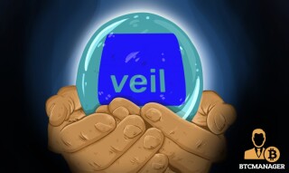 VEIL - Perfect Ecosystem