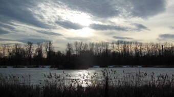 And today it's spring, temperature plus 8 degrees - My Actifit Report Card: January 6, 2025