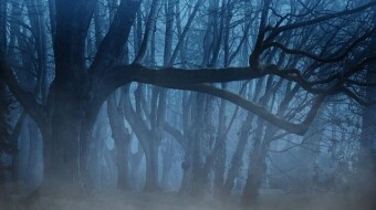 Evading the Watchers