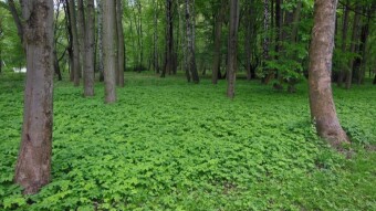 Monday is marked by cold air, but very green - My Actifit Report Card: April 15 2024