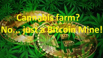 A series of volatile Bitcoin events and the Index Coop stability