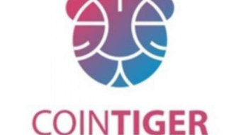 CoinTiger Stock Exchange Overview, New Airdrop.