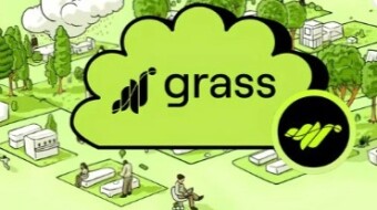 GRASS: The AI-powered data revolution with decentralized Insights