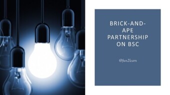 Brick-And-Ape Partnership On BSC