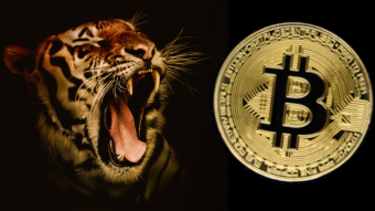 The Critical Choice: Fear Or Crypto Fuel