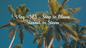 Vlog #383 - Stop to Blame Steemit or Steem