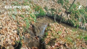 November running statistics