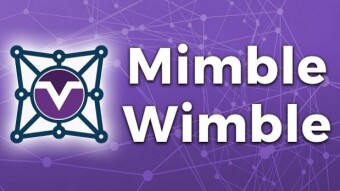 Mimblewimble- Price(s) we pay for privacy.