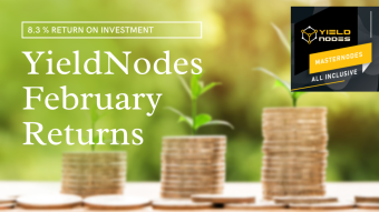 YieldNodes February Update. How much did I make investing with YieldNodes for 2 months? Is YieldNodes safe?