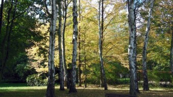 Little sun, but a positive Monday - My Actifit Report Card: October 16 2023